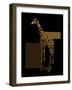 1 Gold Giraffe-Tina Lavoie-Framed Giclee Print