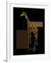 1 Gold Giraffe-Tina Lavoie-Framed Giclee Print