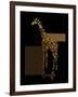 1 Gold Giraffe-Tina Lavoie-Framed Giclee Print