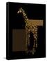 1 Gold Giraffe-Tina Lavoie-Framed Stretched Canvas