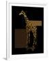 1 Gold Giraffe-Tina Lavoie-Framed Giclee Print