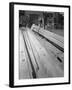 1 in 14 Rail Crossing, Mould and Pattern, Stanley Works, Sheffield, South Yorkshire, 1968-Michael Walters-Framed Photographic Print