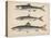 1. Salmon, 2. Osmerus Japonicus, 3. Salmo (Fario) Leucomaenis, 1855-H. Patterson-Stretched Canvas