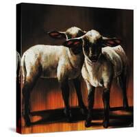 1 Sheep 2 Sheep-Sydney Edmunds-Stretched Canvas