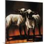 1 Sheep 2 Sheep-Sydney Edmunds-Mounted Premium Giclee Print