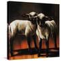 1 Sheep 2 Sheep-Sydney Edmunds-Stretched Canvas