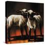 1 Sheep 2 Sheep-Sydney Edmunds-Stretched Canvas