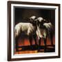 1 Sheep 2 Sheep-Sydney Edmunds-Framed Giclee Print