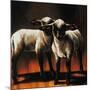 1 Sheep 2 Sheep-Sydney Edmunds-Mounted Giclee Print