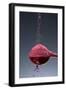 1 Tablespoon Beet Powder-Steve Gadomski-Framed Photographic Print