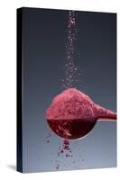 1 Tablespoon Beet Powder-Steve Gadomski-Stretched Canvas