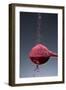 1 Tablespoon Beet Powder-Steve Gadomski-Framed Premium Photographic Print