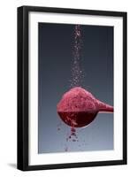 1 Tablespoon Beet Powder-Steve Gadomski-Framed Premium Photographic Print