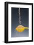 1 Tablespoon Brown Sugar-Steve Gadomski-Framed Photographic Print