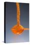 1 Tablespoon Cayenne Pepper-Steve Gadomski-Stretched Canvas