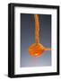 1 Tablespoon Cayenne Pepper-Steve Gadomski-Framed Photographic Print