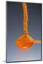 1 Tablespoon Cayenne Pepper-Steve Gadomski-Mounted Photographic Print