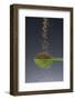 1 Tablespoon Celery Seed-Steve Gadomski-Framed Photographic Print