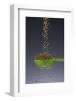 1 Tablespoon Celery Seed-Steve Gadomski-Framed Photographic Print