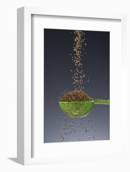 1 Tablespoon Celery Seed-Steve Gadomski-Framed Photographic Print