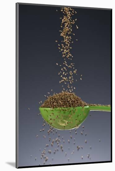 1 Tablespoon Celery Seed-Steve Gadomski-Mounted Photographic Print