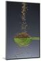 1 Tablespoon Celery Seed-Steve Gadomski-Mounted Photographic Print