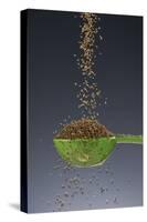 1 Tablespoon Celery Seed-Steve Gadomski-Stretched Canvas