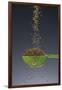 1 Tablespoon Celery Seed-Steve Gadomski-Framed Photographic Print