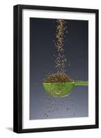 1 Tablespoon Celery Seed-Steve Gadomski-Framed Premium Photographic Print