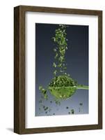 1 Tablespoon Chives-Steve Gadomski-Framed Photographic Print