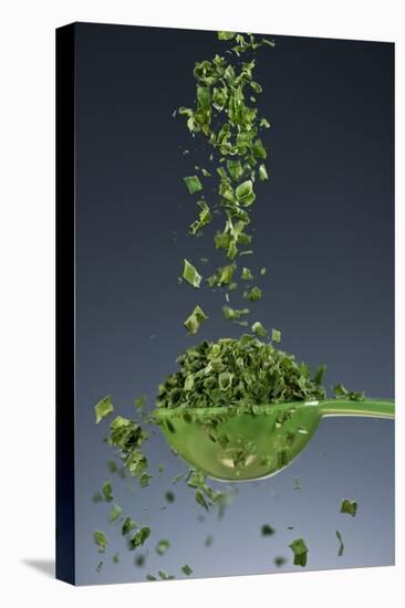 1 Tablespoon Chives-Steve Gadomski-Stretched Canvas