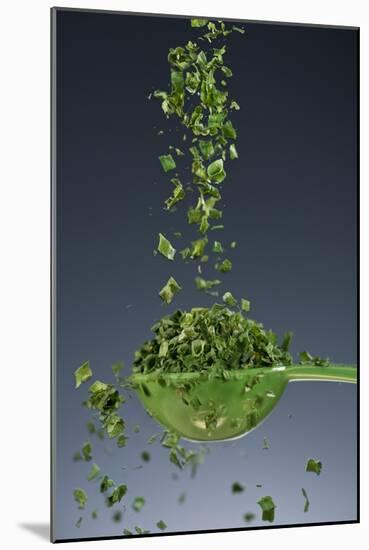 1 Tablespoon Chives-Steve Gadomski-Mounted Photographic Print