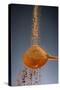 1 Tablespoon Cinnamon-Steve Gadomski-Stretched Canvas