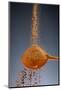 1 Tablespoon Cinnamon-Steve Gadomski-Mounted Photographic Print