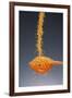 1 Tablespoon Dried Orange Peel-Steve Gadomski-Framed Photographic Print