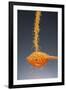 1 Tablespoon Dried Orange Peel-Steve Gadomski-Framed Photographic Print