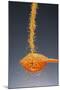 1 Tablespoon Dried Orange Peel-Steve Gadomski-Mounted Photographic Print