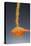 1 Tablespoon Dried Orange Peel-Steve Gadomski-Stretched Canvas