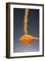 1 Tablespoon Dried Orange Peel-Steve Gadomski-Framed Photographic Print