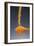 1 Tablespoon Dried Orange Peel-Steve Gadomski-Framed Photographic Print