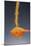 1 Tablespoon Dried Orange Peel-Steve Gadomski-Mounted Photographic Print