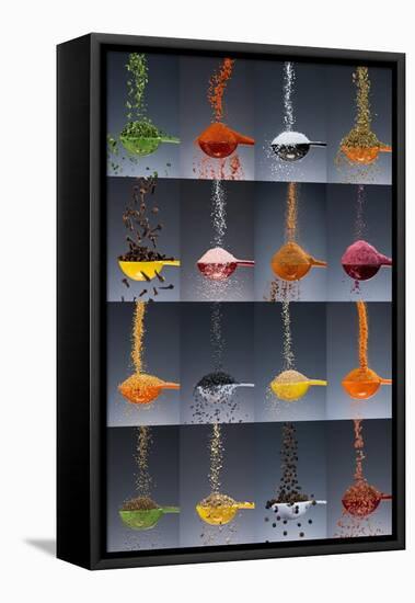 1 tablespoon flavor collage-Steve Gadomski-Framed Stretched Canvas