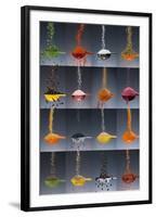 1 tablespoon flavor collage-Steve Gadomski-Framed Photographic Print