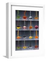 1 tablespoon flavor collage-Steve Gadomski-Framed Photographic Print