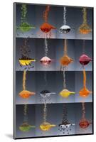 1 tablespoon flavor collage-Steve Gadomski-Mounted Photographic Print
