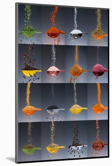 1 tablespoon flavor collage-Steve Gadomski-Mounted Photographic Print