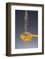 1 Tablespoon Ground Pepper-Steve Gadomski-Framed Photographic Print