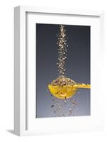 1 Tablespoon Ground Pepper-Steve Gadomski-Framed Photographic Print