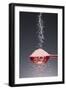 1 Tablespoon Himalayan Salt-Steve Gadomski-Framed Photographic Print