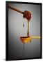 1 Tablespoon Honey-Steve Gadomski-Framed Photographic Print